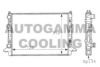 AUTOGAMMA 101077 Radiator, engine cooling